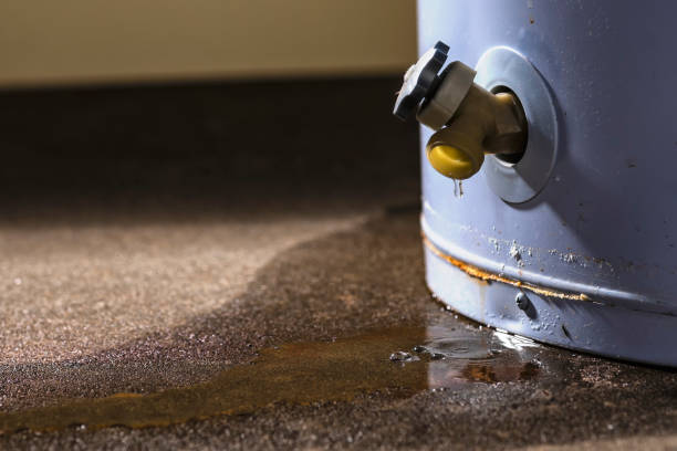 Best Water damage restoration near me  in Rifle, CO