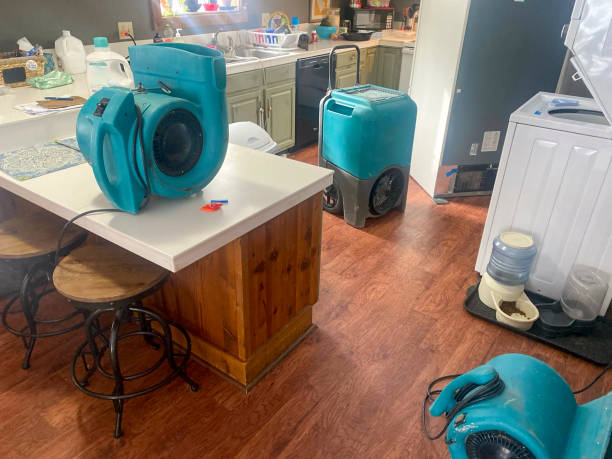 Best Flooded house restoration  in Rifle, CO