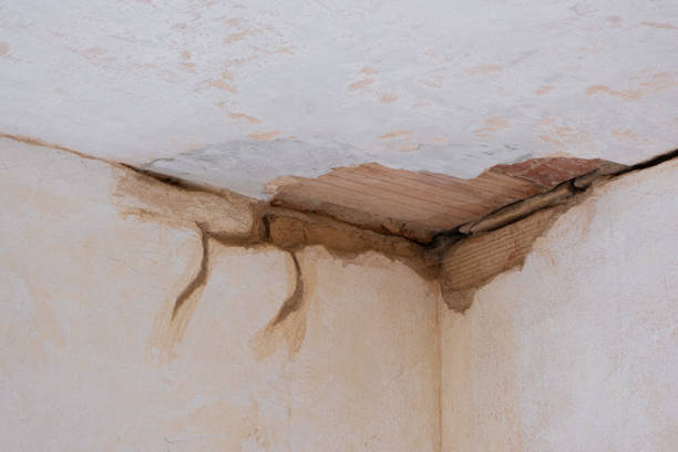 Best Sewage cleanup and water damage restoration  in Rifle, CO