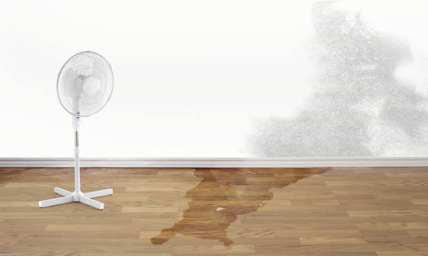  Rifle, CO Water damage restoration Pros