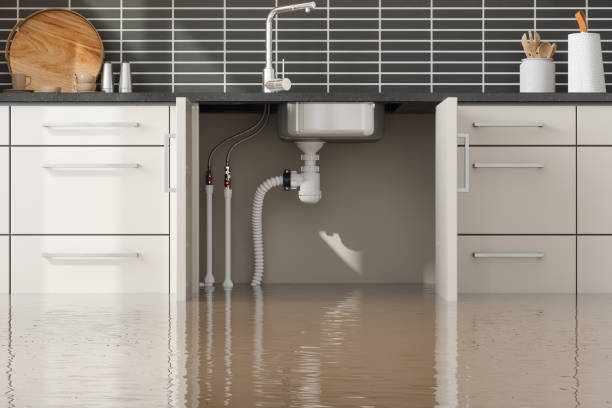 Best Residential water damage restoration  in Rifle, CO